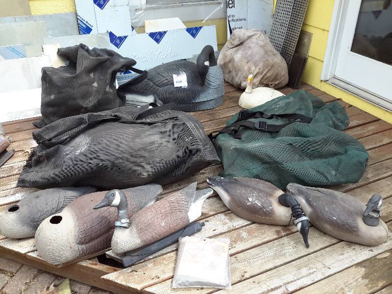 lot 155 image: Large Lot of Large Duck Decoys