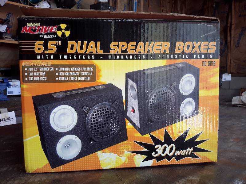 dual 6.5 speaker box