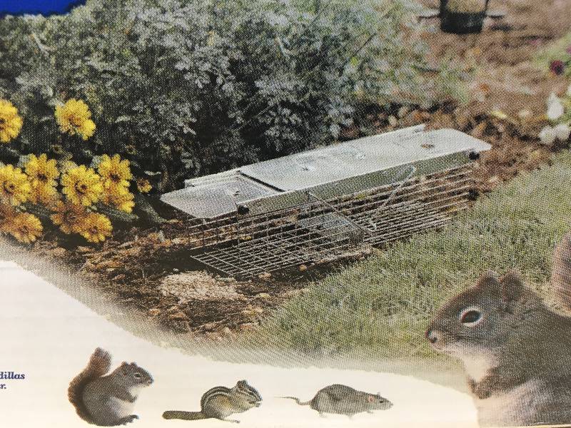 Havacart Raccoon Trap 32x10x12 new