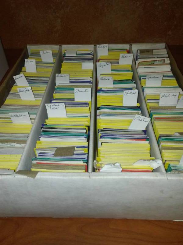 lot 111 image: 3000 cards all baseball sorted by teams.
