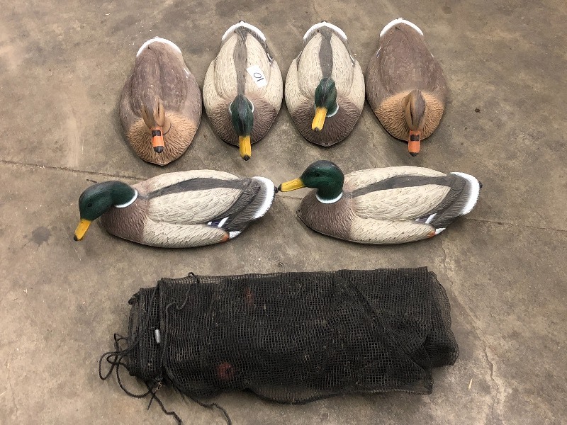 lot 10 image: Lot Of (6) Mallard Duck Decoys & (1...