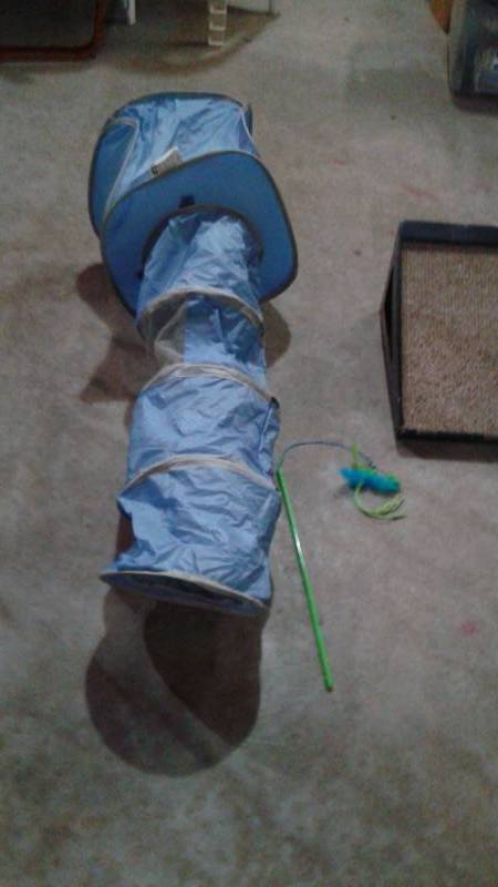 lot 6 image: Lot Of Cat Toys, Barely Used