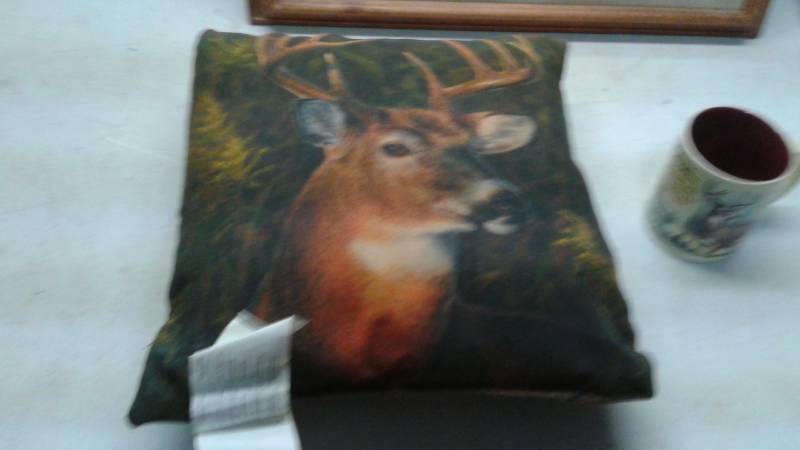 lot 84 image: Deer Picture, Mug, And Pillow, No Scent Wash, Free Beer Tin Sign