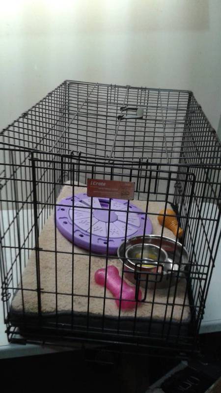 lot 15 image: 30L x 19W x 21H Dog Pet Cage Carrying Kennel, Used, Some Wear