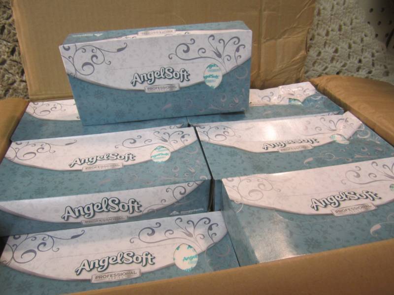 lot 73 image: Case of 30 Boxes of Angel Soft 2-Pl...