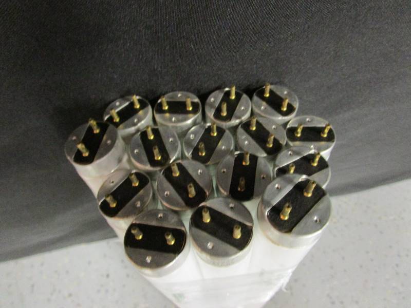 (16) (New) T8 2 Bulbs