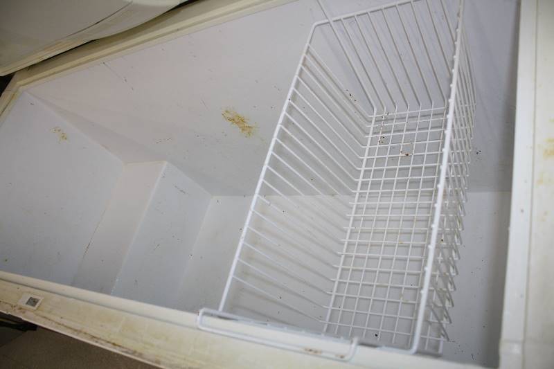 lot 65 image: Kelvinator Freezer 65x30x36Cools Does Not Freeze
