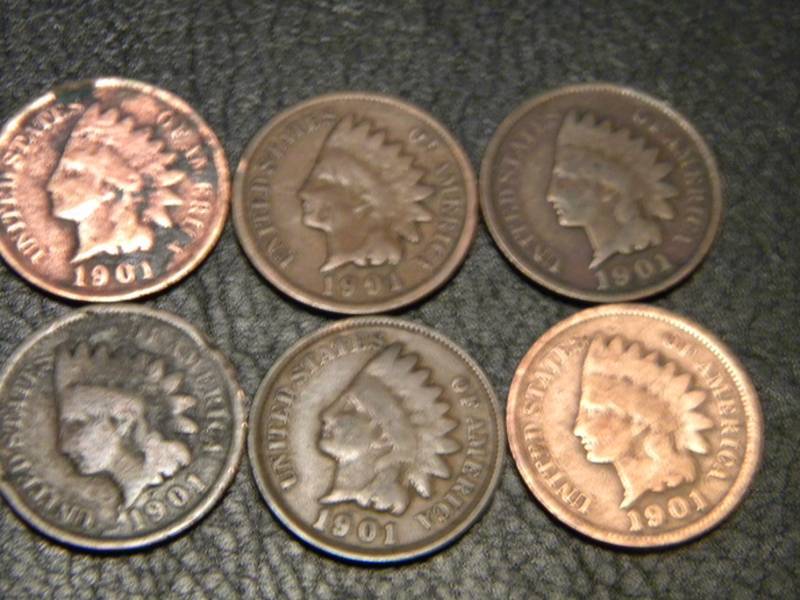 6 1901 Indian Head Pennies
