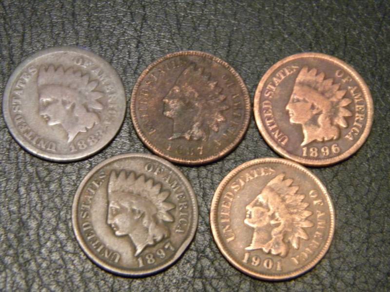 5 Indian Head Pennies