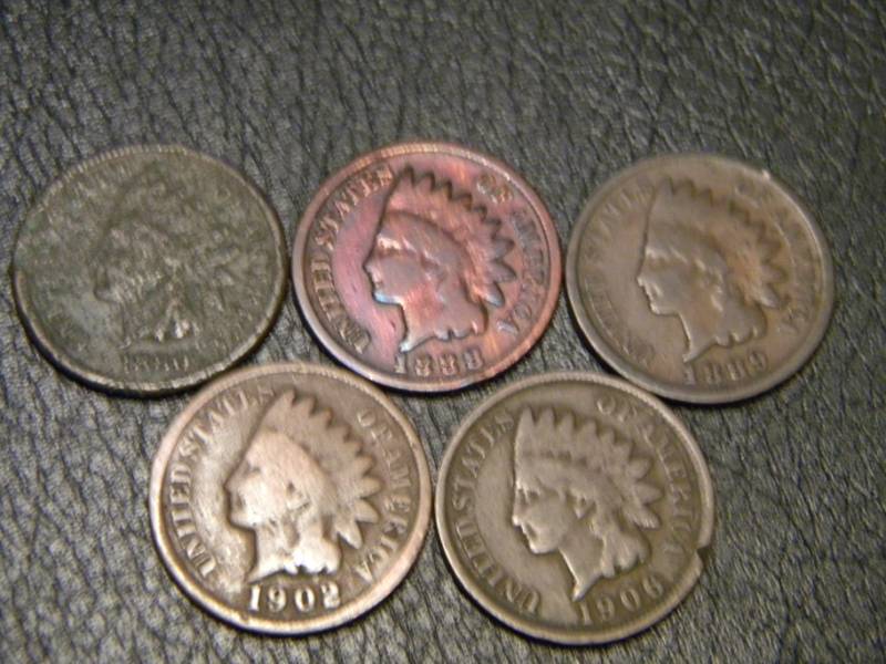 5 Indian Head Pennies