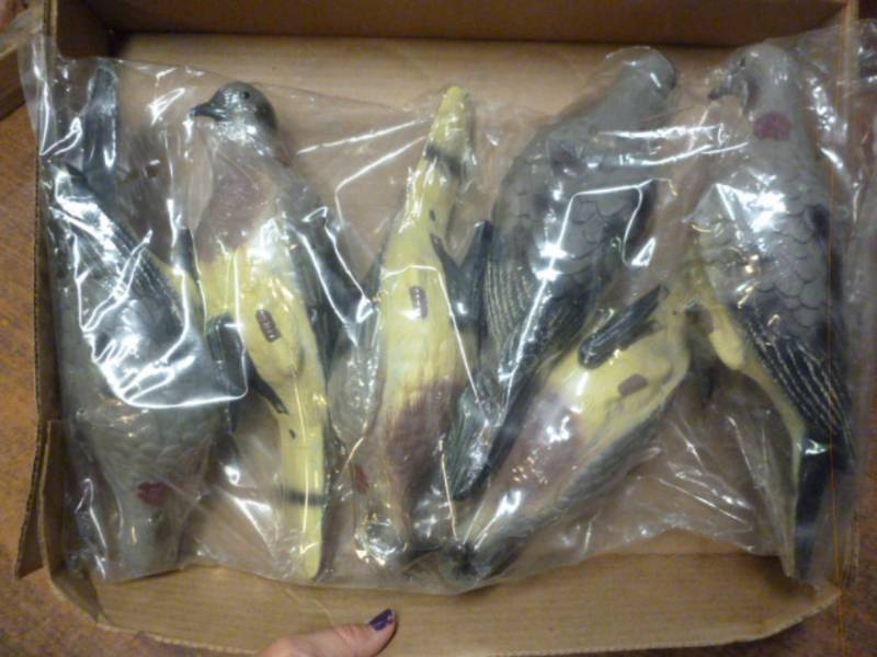 lot 204 image: Dove Decoys