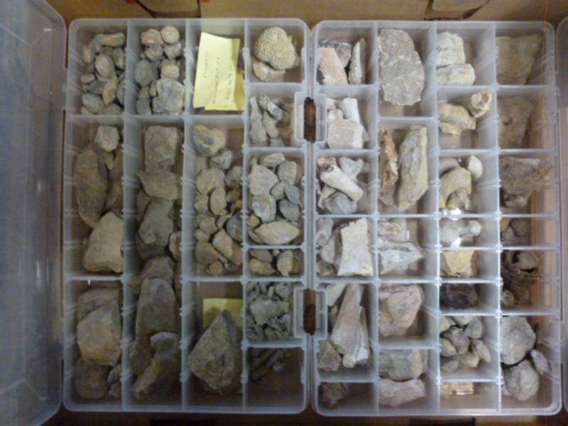 lot 270 image: Collector Rocks