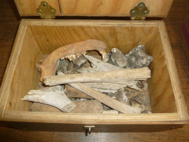 lot 279 image: Native Campsite Bones
