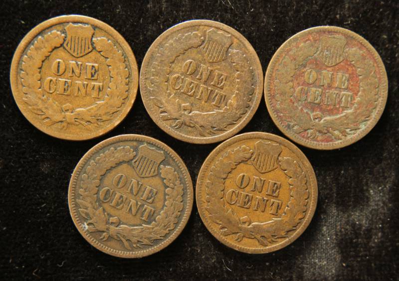 lot 19 image: (5) INDIAN HEAD CENTS 1900 1901 1902 1903 1906