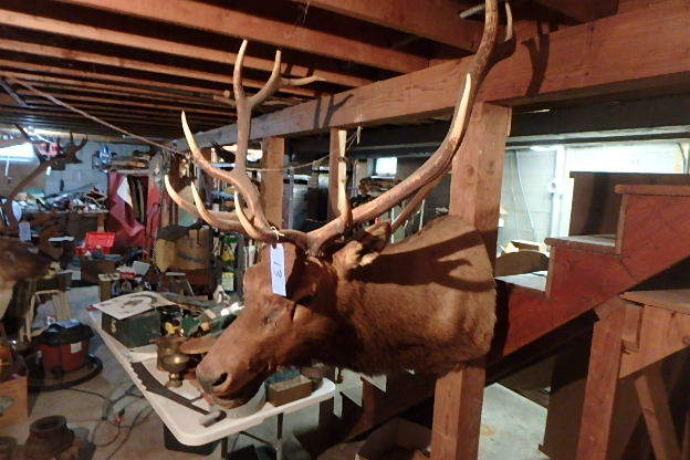 lot 13 image: Elk Mount