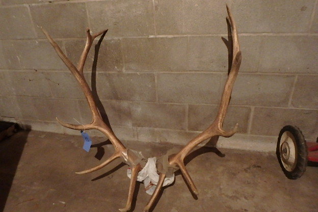 lot 30 image: Elk Rack