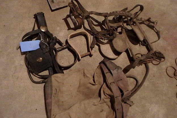 lot 38 image: U.S. Army Bridal, Blinders, Stirrups