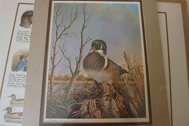 lot 49 image: (10) Wildlife Prints