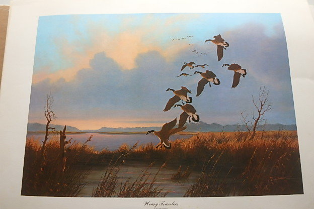 lot 51 image: (11) Wildlife Prints