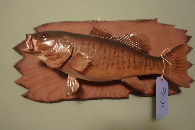 lot 106 image: Bass