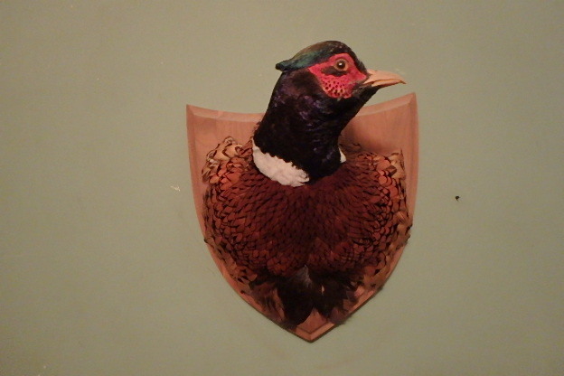 lot 108 image: Two Pheasants