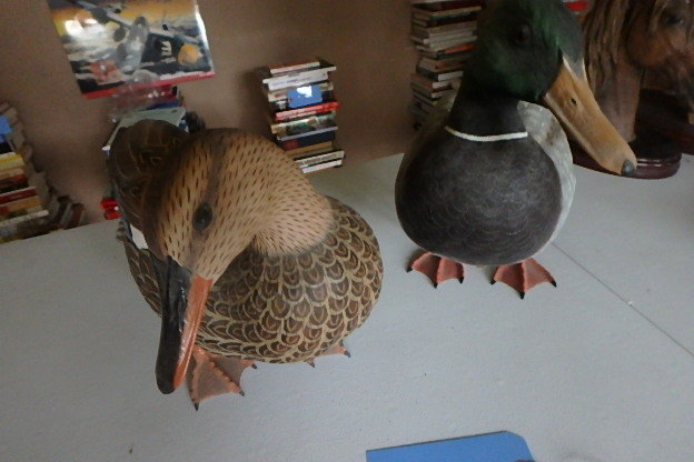 lot 125 image: Ducks