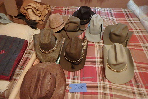 lot 208 image: Cowboy Hats and Boots
