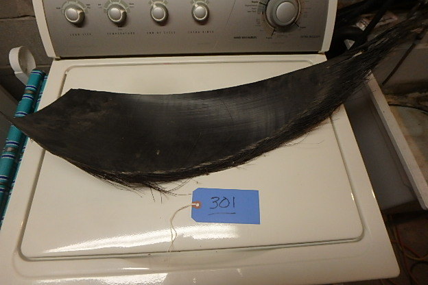 lot 301 image: Whale Baleen