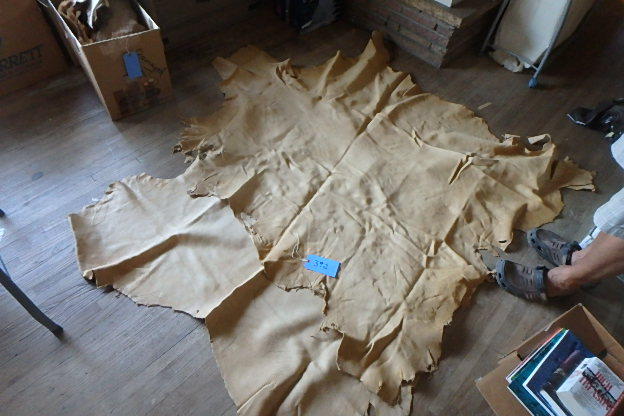 lot 392 image: Two Tanned Elk Hides