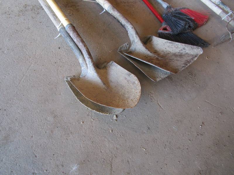 lot 65 image: (4) Shovels (2) Brooms (2) Rakes