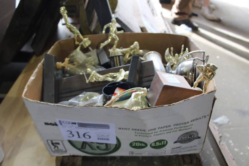 lot 316 image: Assorted Trophies