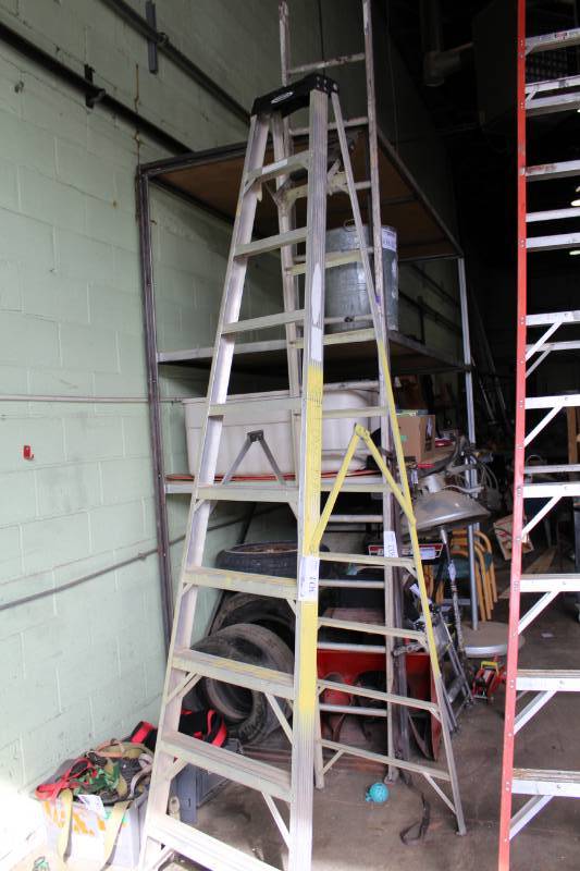 lot 301 image: Werner 10ft. Extra Heavy Duty Professional Step Ladder