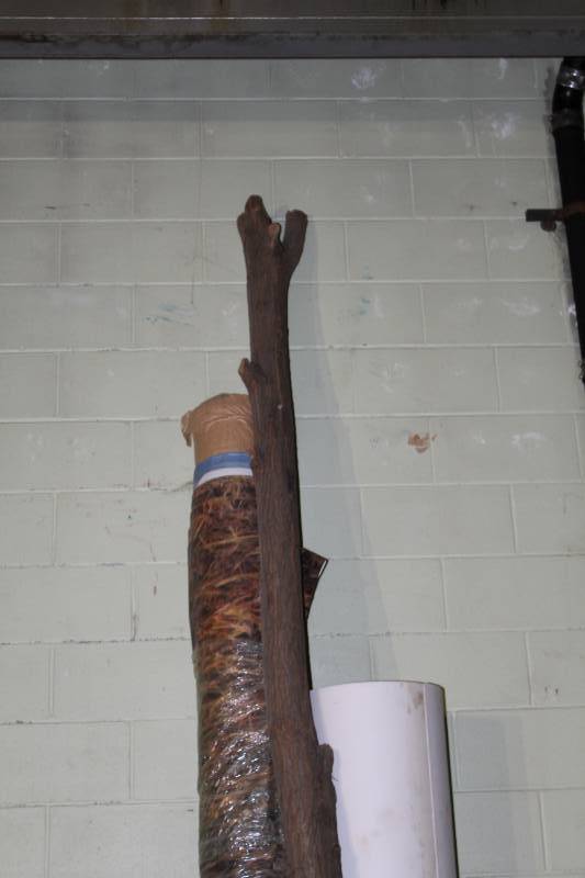 lot 778 image: Tree Trunk w Bark