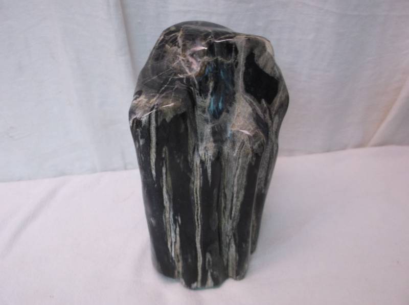 lot 1 image: Petrified Wood