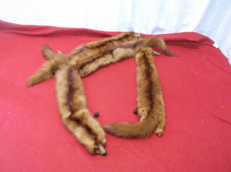 lot 63 image: Mink Stole