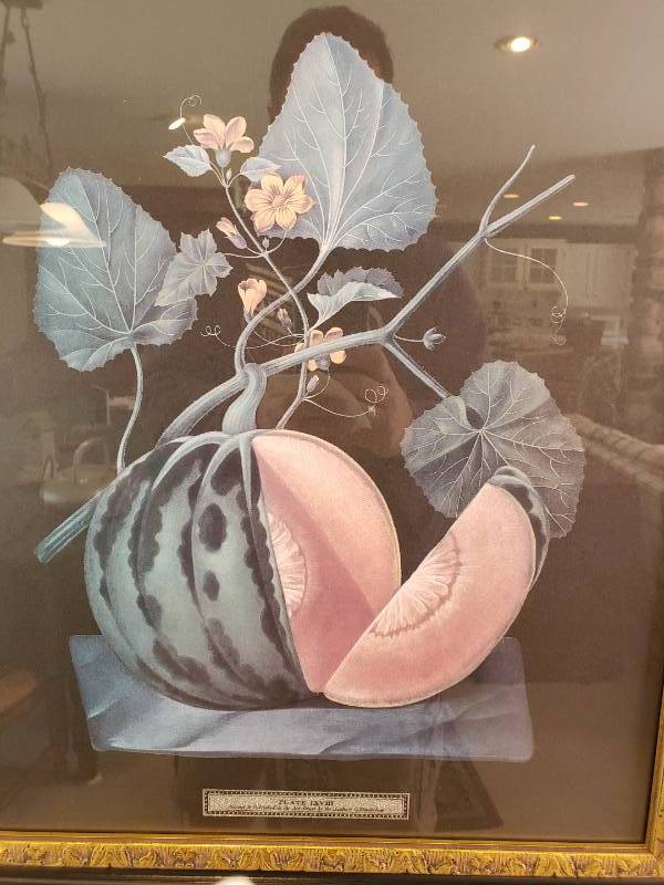 lot 45 image: (2) Elegant Framed Fruit Artwork Pieces