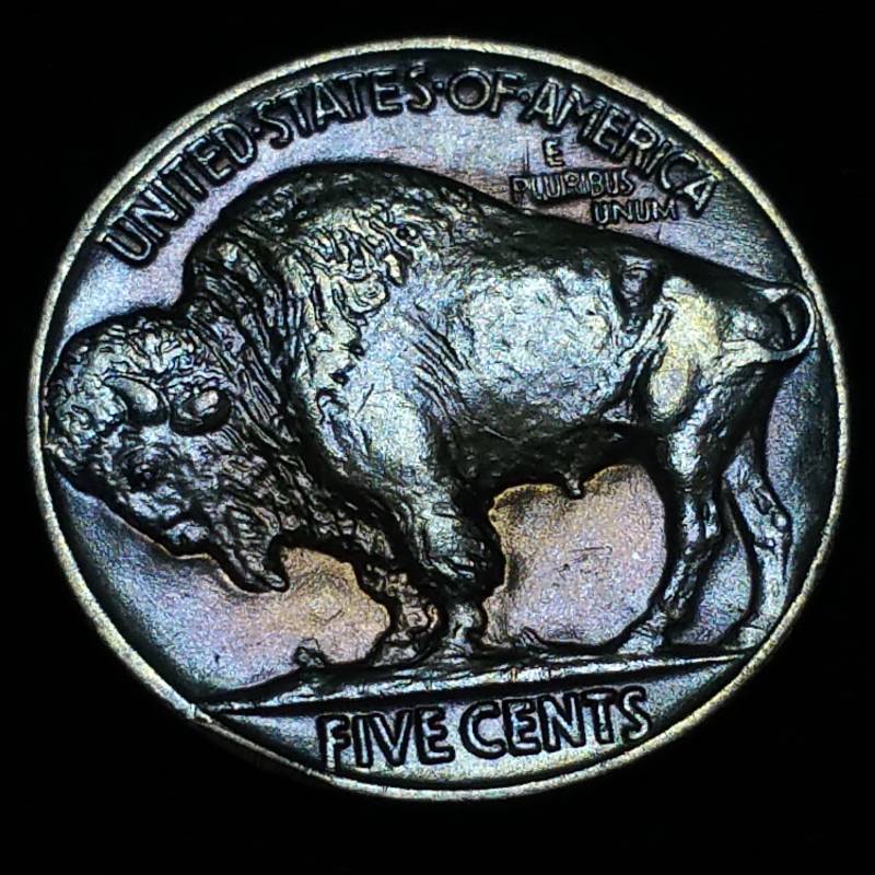 lot 11 image: 1919 Buffalo Nickel - Highest Grade, Toned