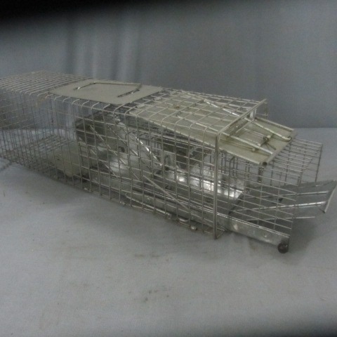 lot 195 image: Have-A-Hart Traps