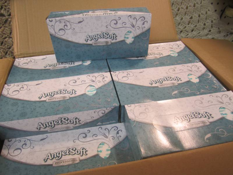 lot 294 image: Case of 30 Boxes of 2-Ply White Fla...