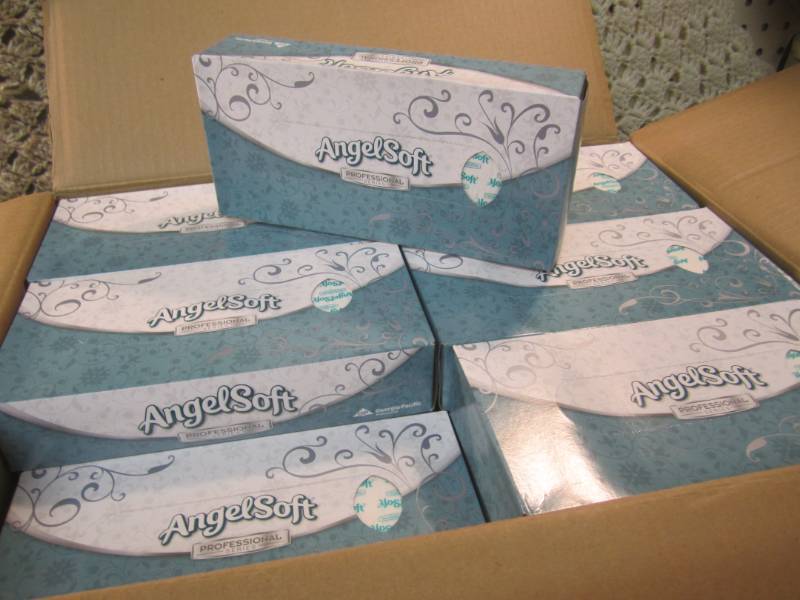lot 295 image: Case of 30 Boxes of 2-Ply White Fla...