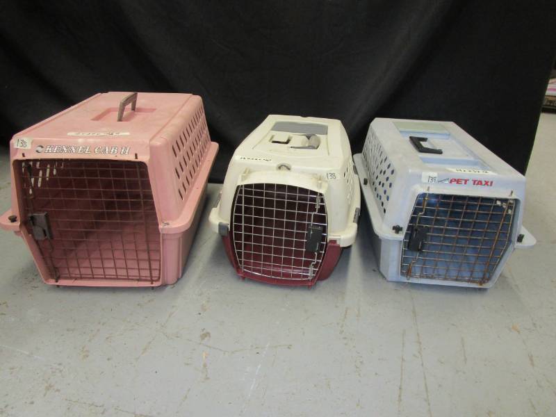 lot 4 image: 3 medium sized dog Kennels see pictures for sizes
