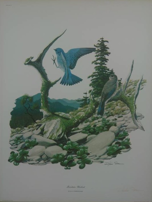 lot 12 image: Richard Sloan FramedMatted Print