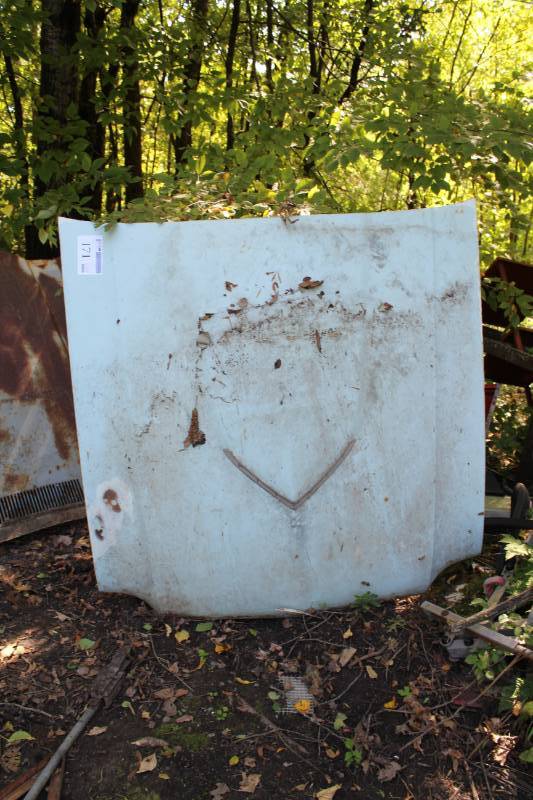 lot 171 image: Car Hood