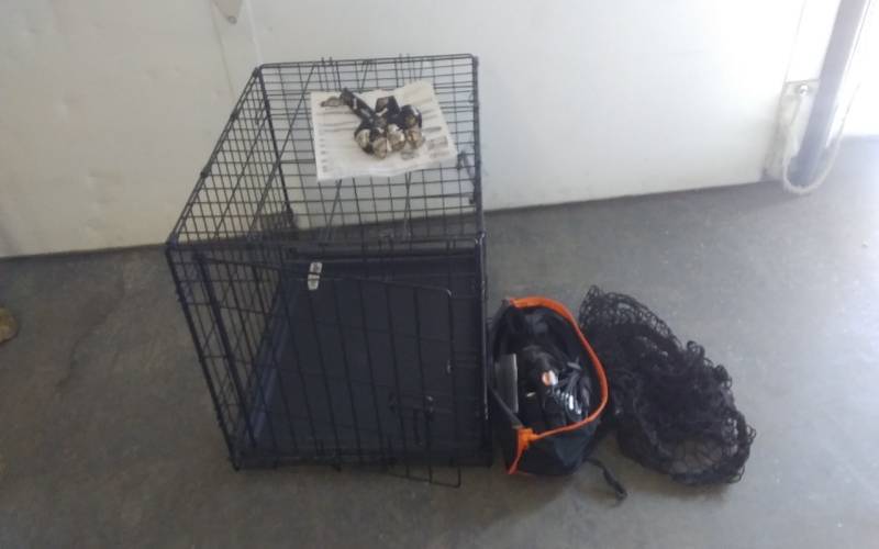 lot 47 image: Folding Dog CrateKennel (24x17x19, Cargo Net, 12-Volt Car Vac