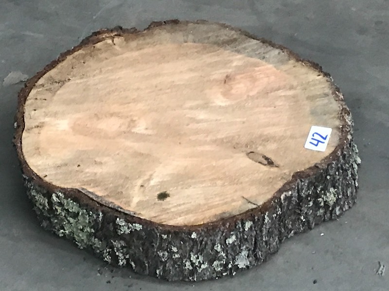 lot 42 image: 4.5 x 23 White Oak Slab, Would Ma...