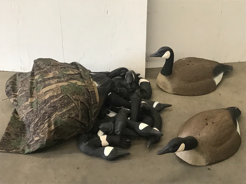 lot 50 image: Lot Of (22) Goose Decoys With Heads...