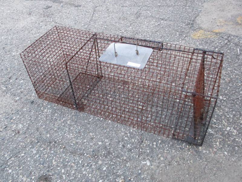 Live Trap