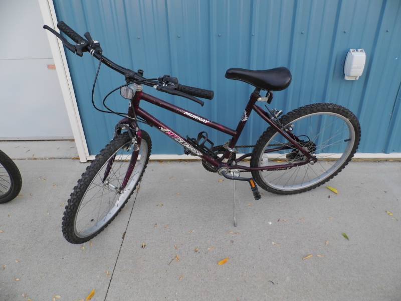 lot 169 image: Murray Bike