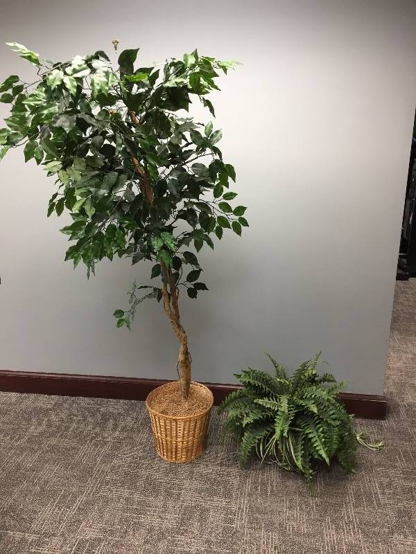 lot 86 image: Decorative Artificial Tree & Fern