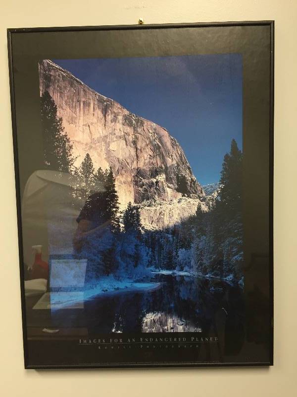 lot 108 image: Images for an Endangered Planet Framed Print
